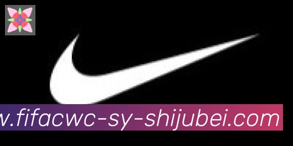世界杯直播合作伙伴